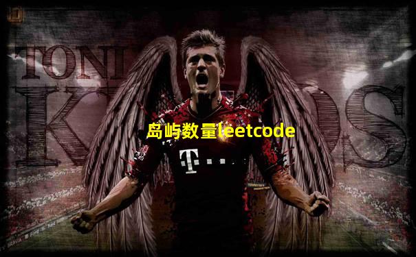 岛屿数量leetcode
